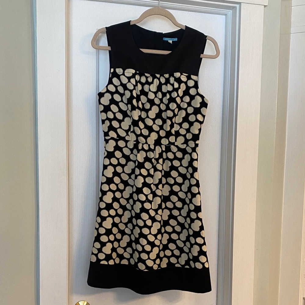 Elegant Leifnotes Black and Cream Polka Dot Dress